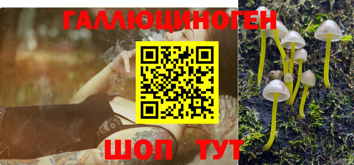 Галлюциногенные грибы мицелий Кызыл
